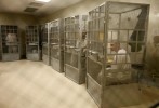 California, un giudice ferma il boia